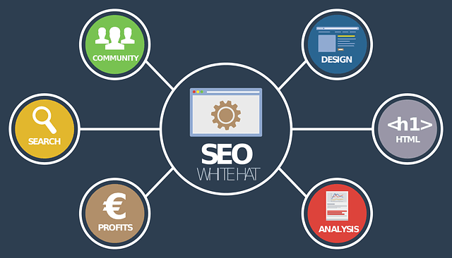 THE ULTIMATE GUIDE TO SEO AND DIGITAL MARKETING IN 2024